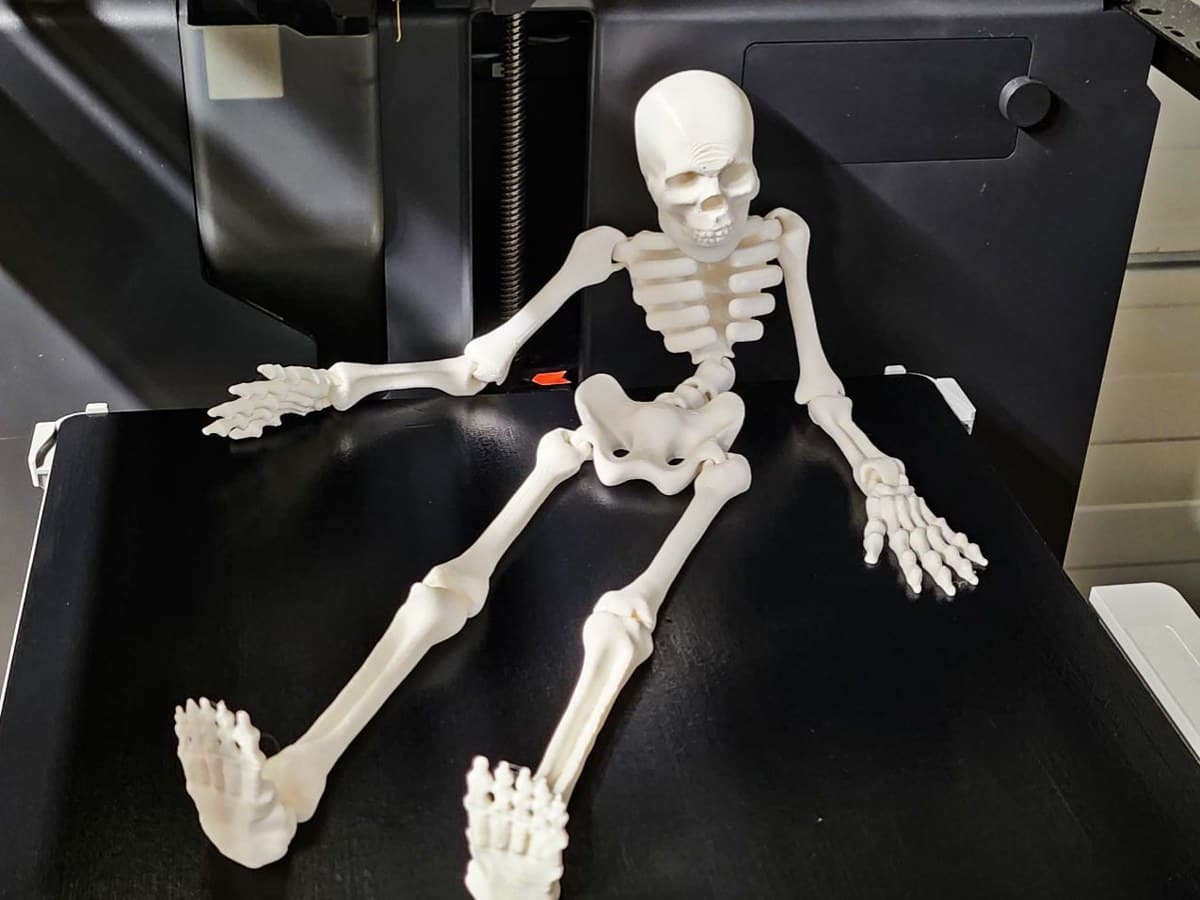 Flexi İskelet – 3D Baskı – 3D baskı PLA