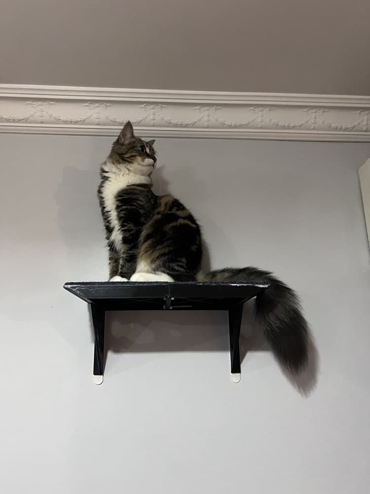 Duvar Tipi Kedi Rafı – 3D Baskı – 3D baskı PLA